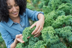 Hydroponic Garden Picks Hydroponic Garden Picks